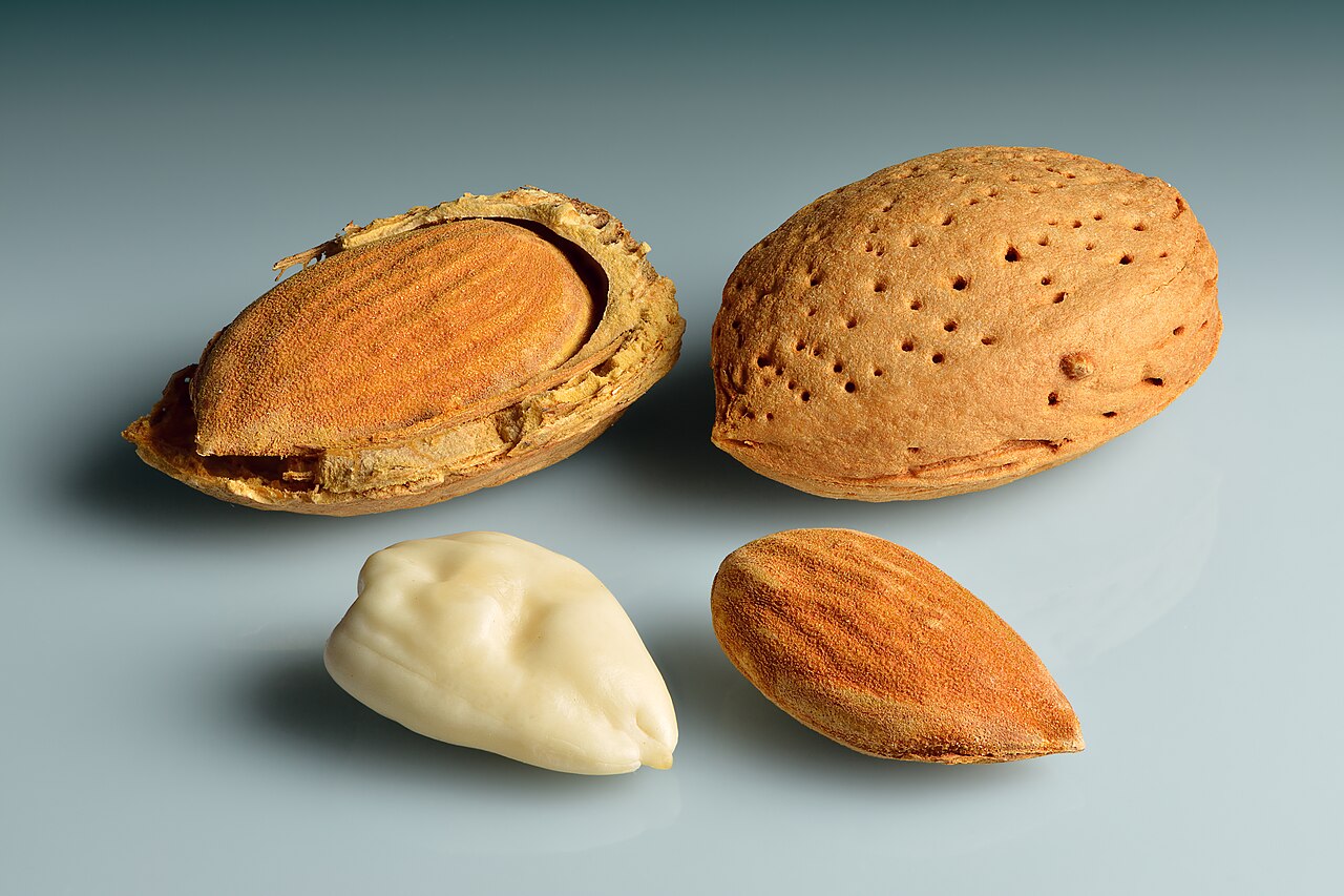 Almond Fruit Almond Fruit