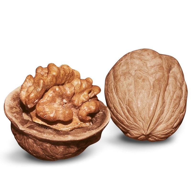English Walnut Fruit