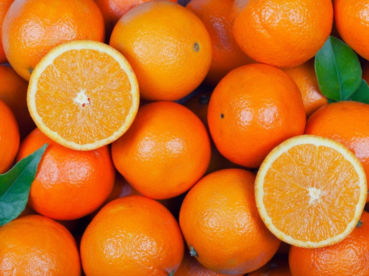 Orange Fruit
