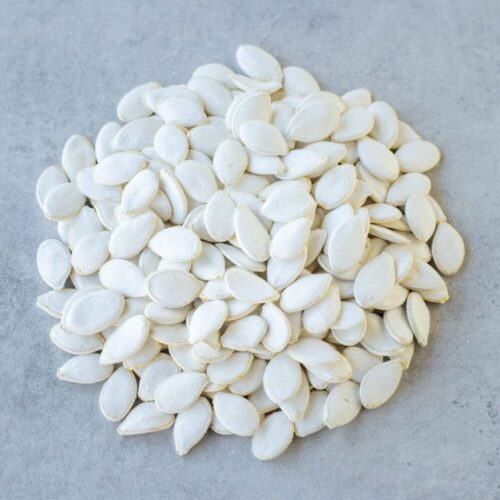 Squash Seed